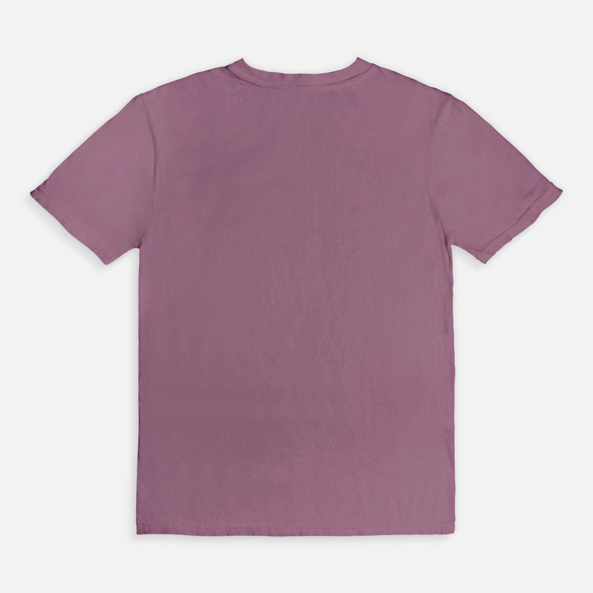 Just One More Chapter Comfort Colors Tee