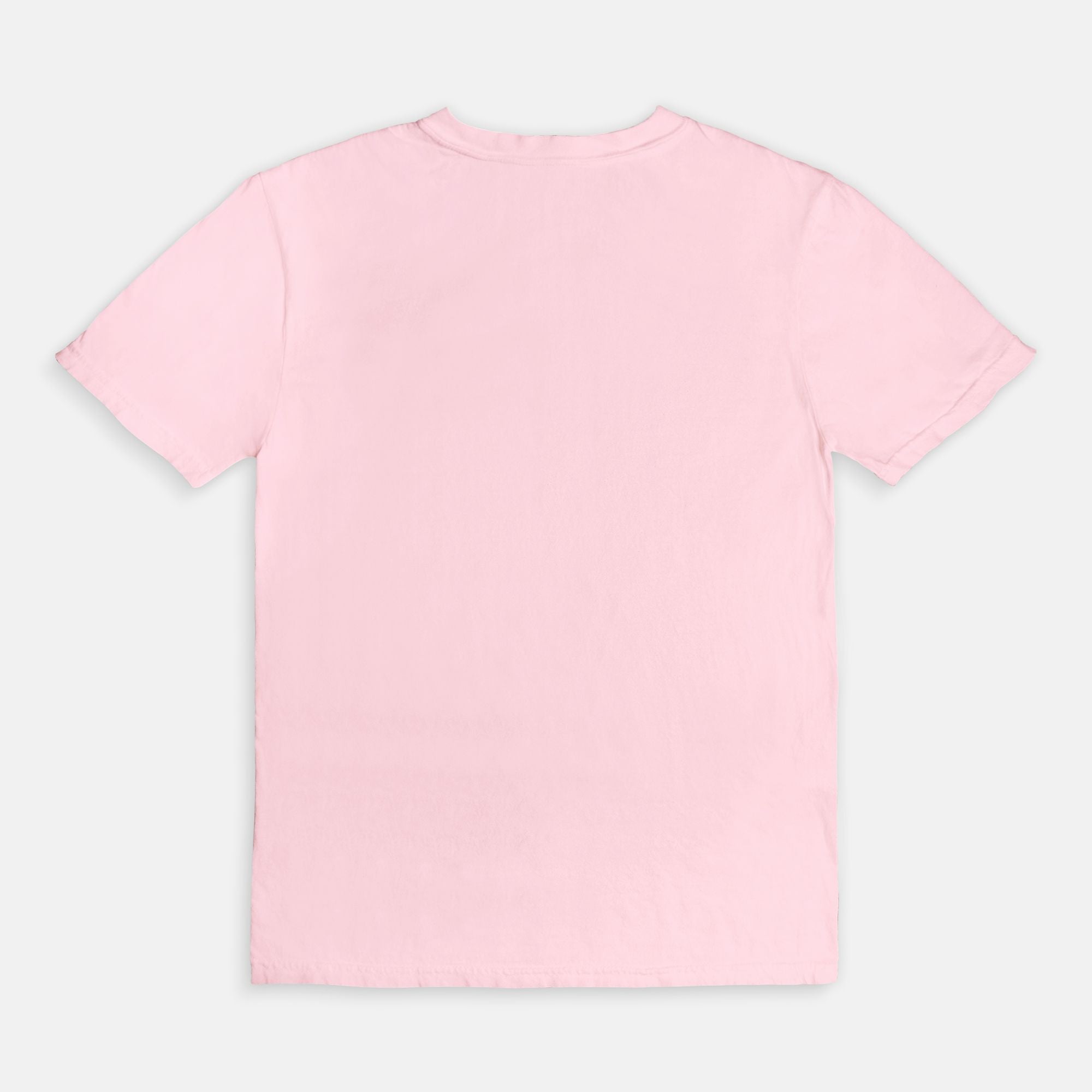 Crying Over Book Boyfriends Comfort Colors Tee