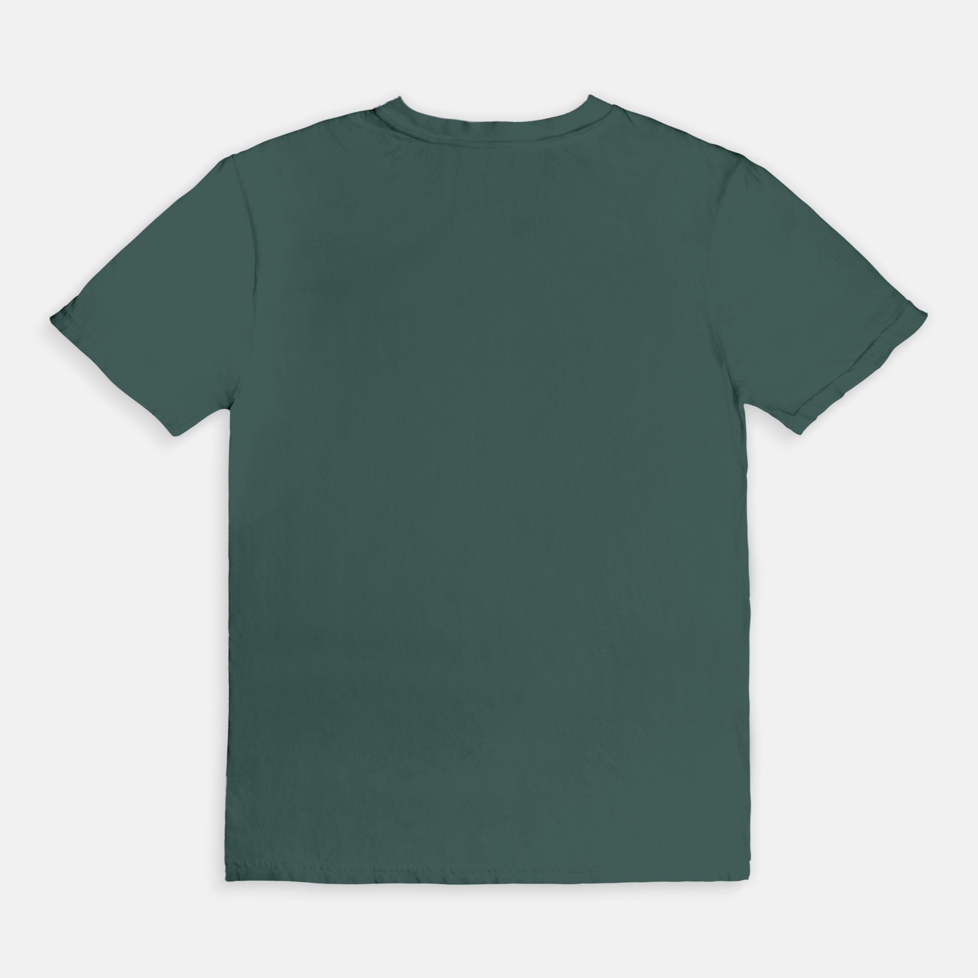 Mood Reader Comfort Colors T-Shirt