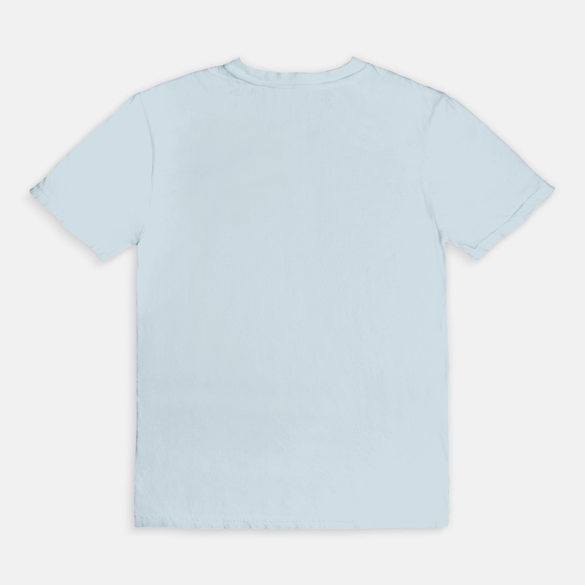 Sorry For What I Said During My Book Hangover Comfort Colors T-Shirt