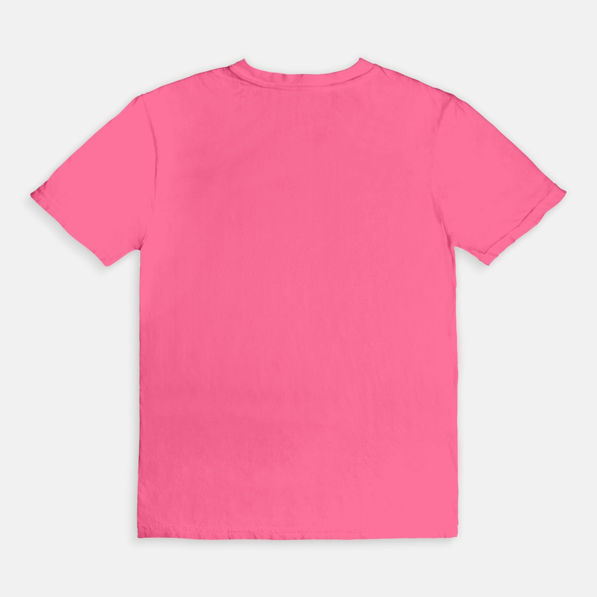 In My Reader Era Comfort Colors T-Shirt