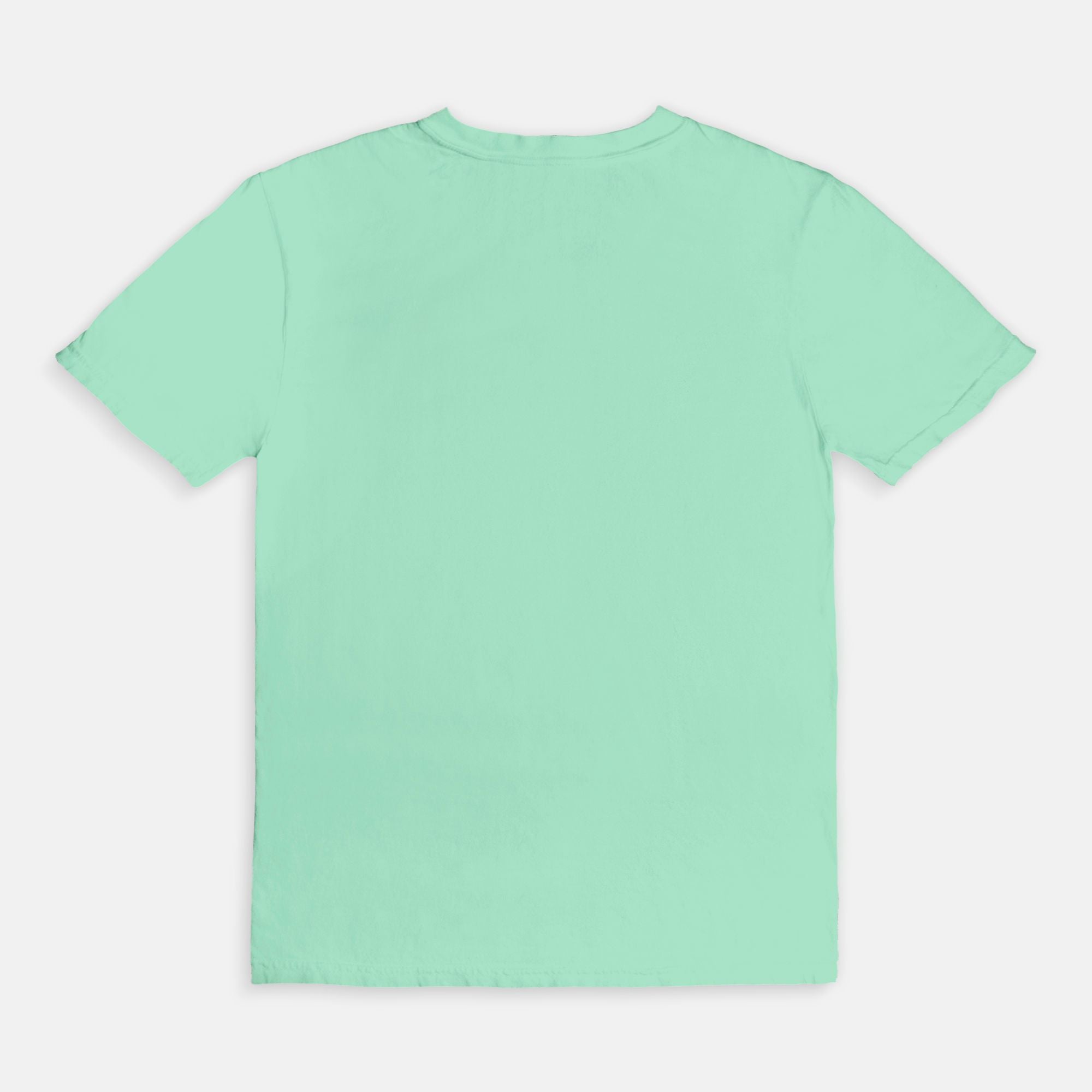 My Taste In Books Is Objectively Perfect Comfort Colors T Shirt