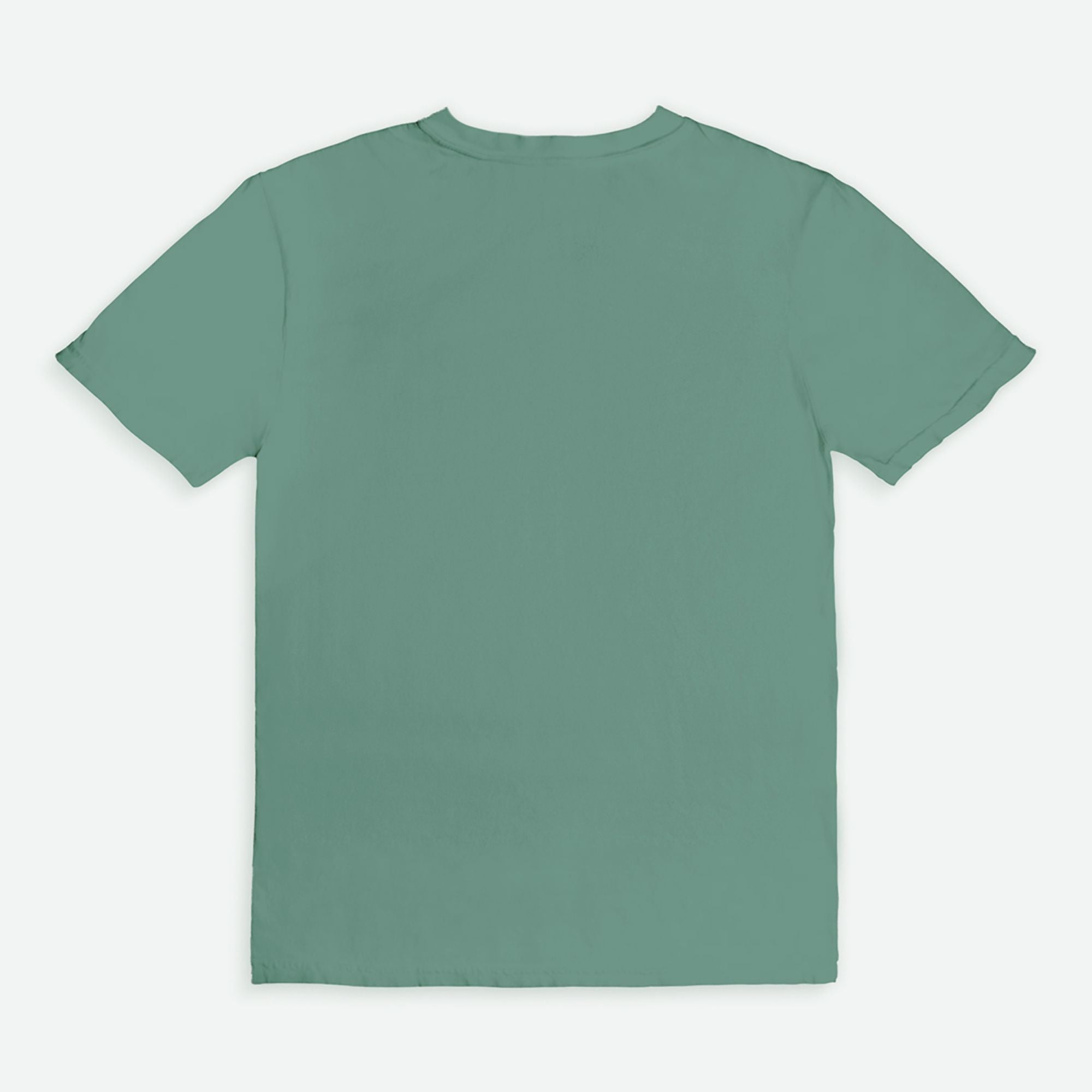 In My Reader Era Comfort Colors T-Shirt