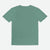 In My Reader Era Comfort Colors T-Shirt