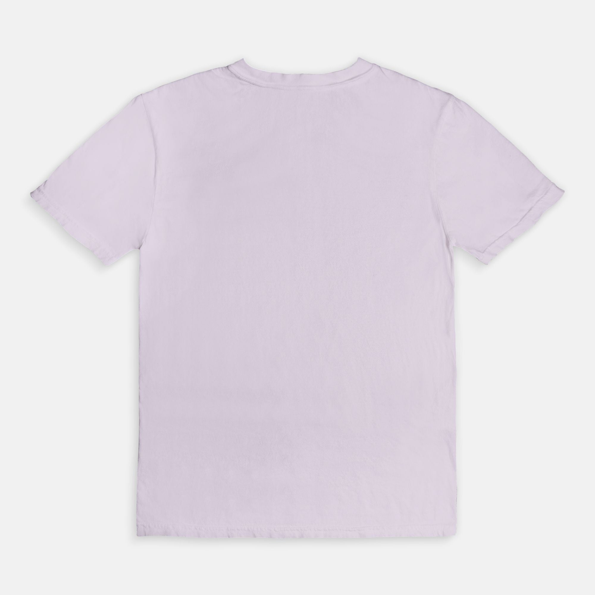 I Closed My Book To Be Here Comfort Colors Tee