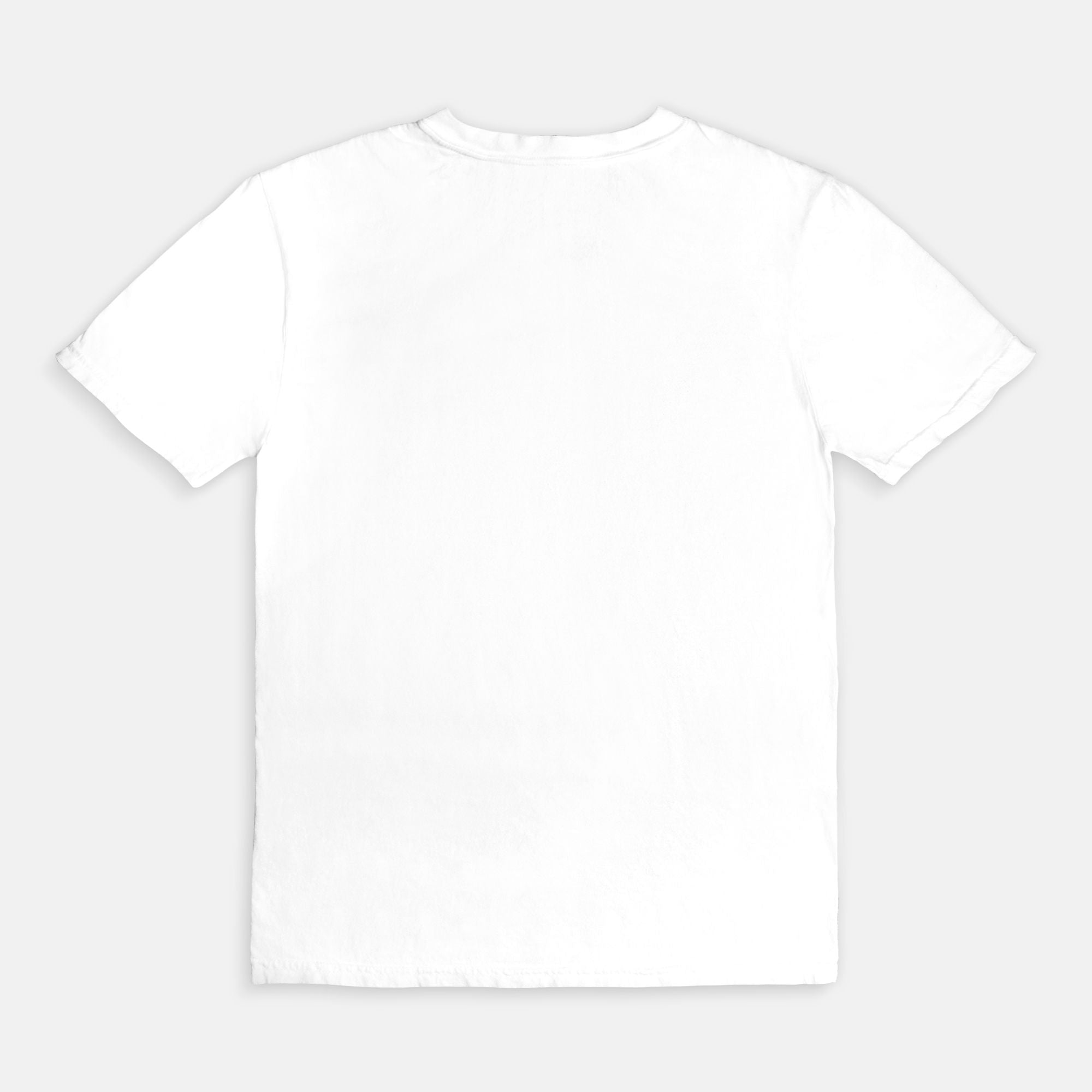 I Closed My Book To Be Here Comfort Colors Tee